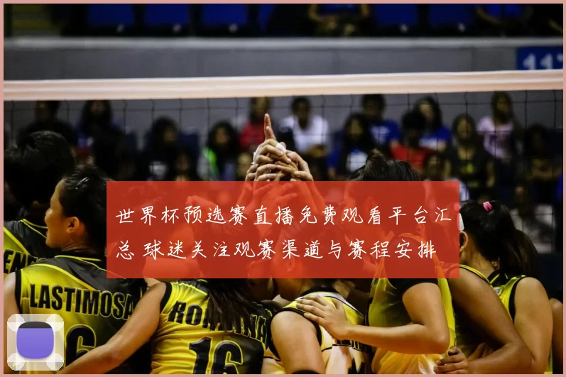 世界杯预选赛直播免费观看平台汇总 球迷关注观赛渠道与赛程安排