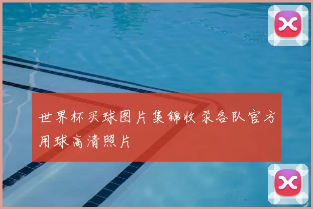 世界杯买球图片集锦收录各队官方用球高清照片