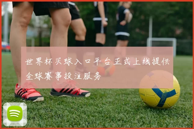 世界杯买球入口平台正式上线提供全球赛事投注服务